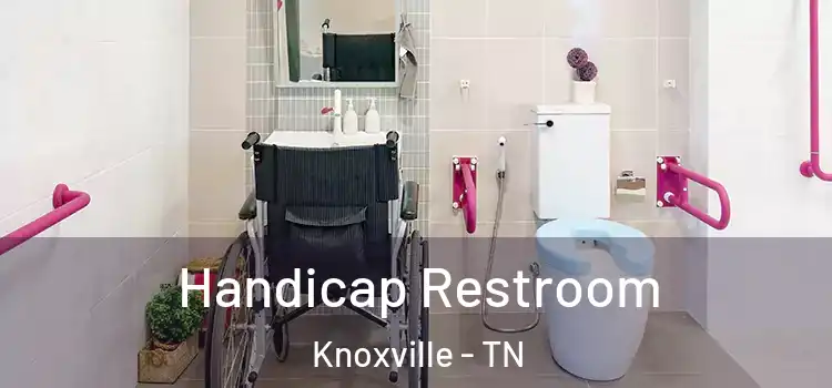 Handicap Restroom Knoxville - TN