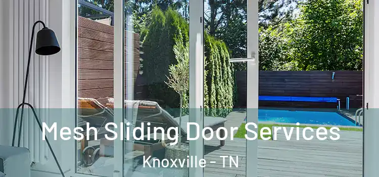 Mesh Sliding Door Services Knoxville - TN